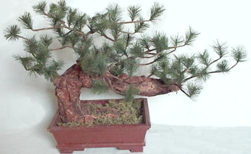 Greeting Pine artificail bonsai