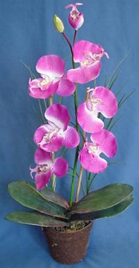 phalaenopsis artificial orchid plant