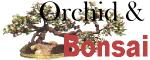 artificial orchid and bonsai plants